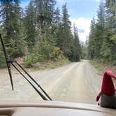 Review photo of Kachess Lake Logging Road Campsites by Susan and Dorin D., May 29, 2024