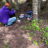 Review photo of Kachess Lake Logging Road Campsites by Susan and Dorin D., May 29, 2024