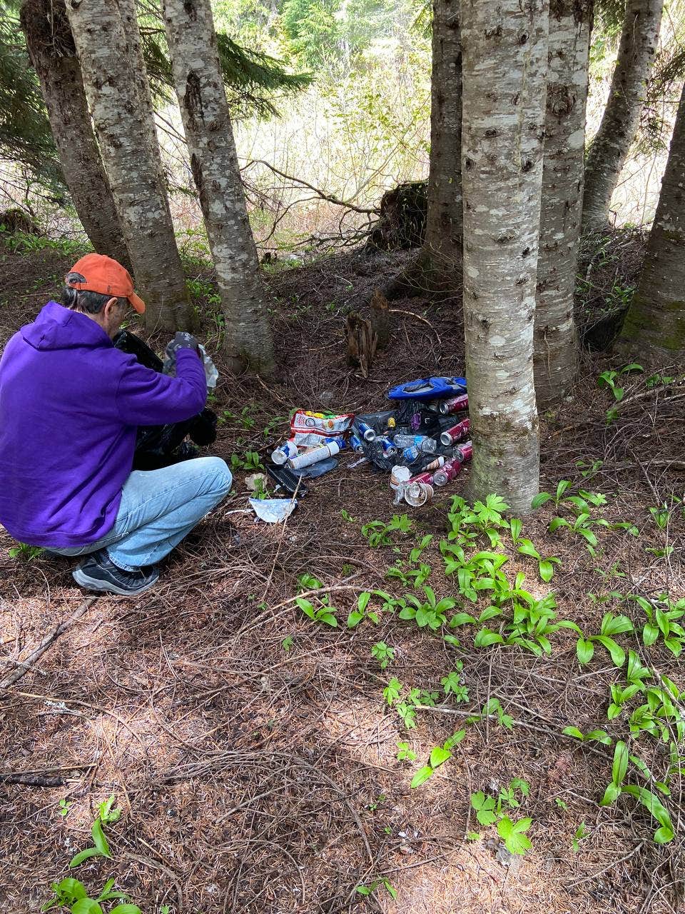 Camper submitted image from Kachess Lake Logging Road Campsites - 3