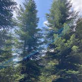 Review photo of Kachess Lake Logging Road Campsites by Susan and Dorin D., May 29, 2024