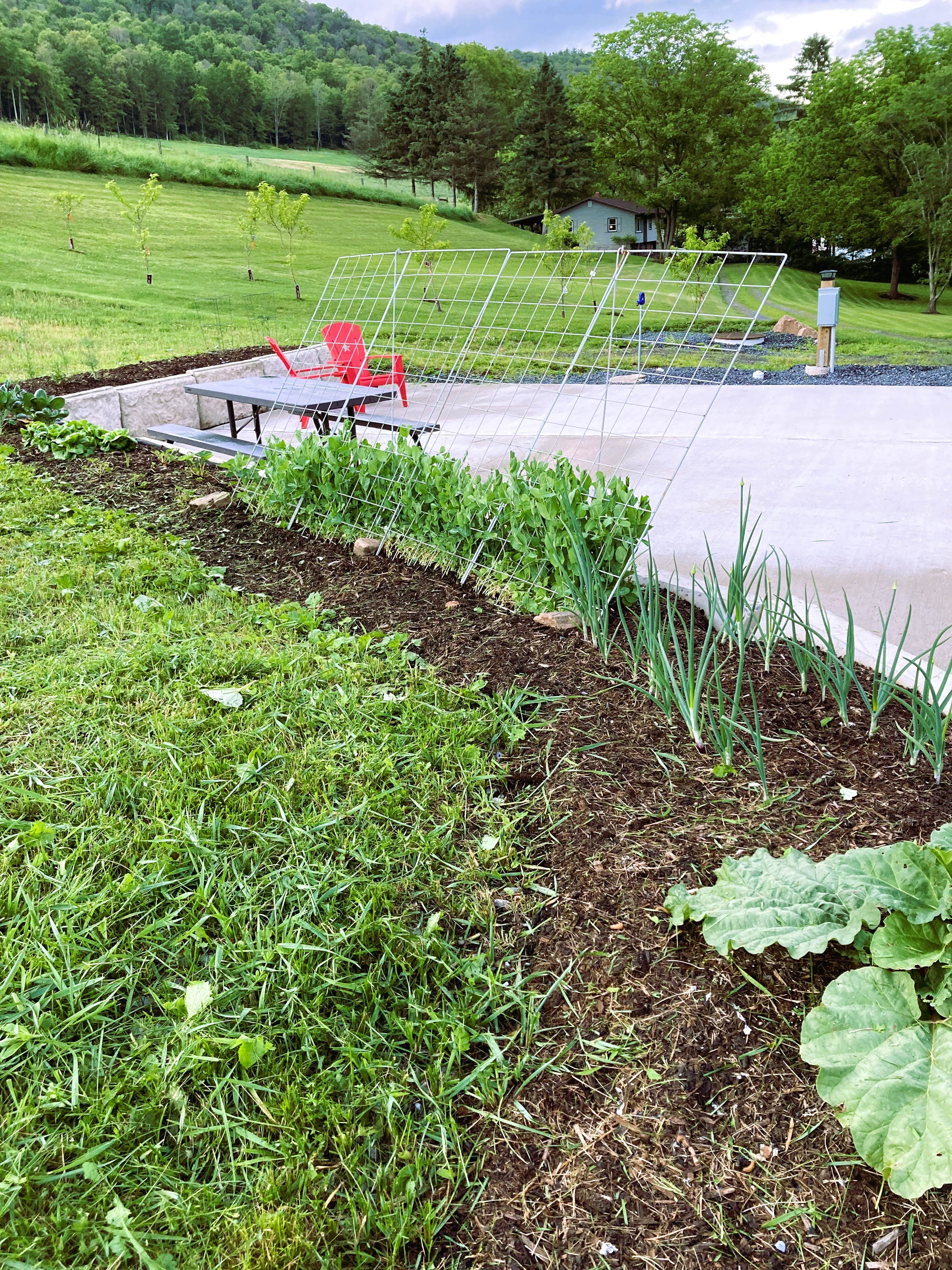 Camper-submitted photo at Pear Tree Cove near Cammal, PA