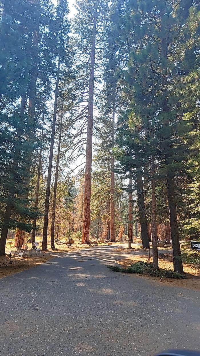 Camper submitted image from Almanor - 1