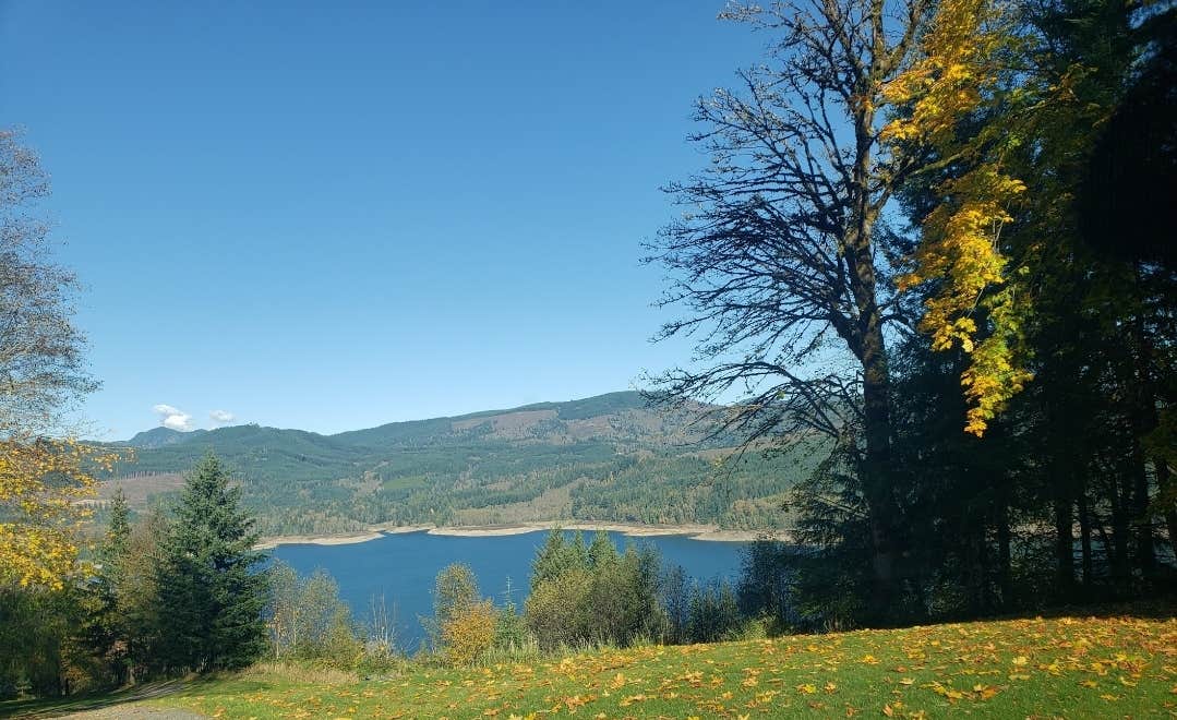 Riffe Lake Lookout Camping 