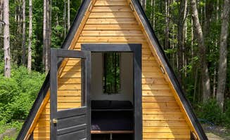 Jean C.'s photo of a cabin at Wanderlust Tiny A-Frame near Factoryville, PA