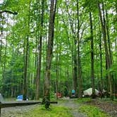 Review photo of Big Creek Campground by Ella J., May 30, 2024