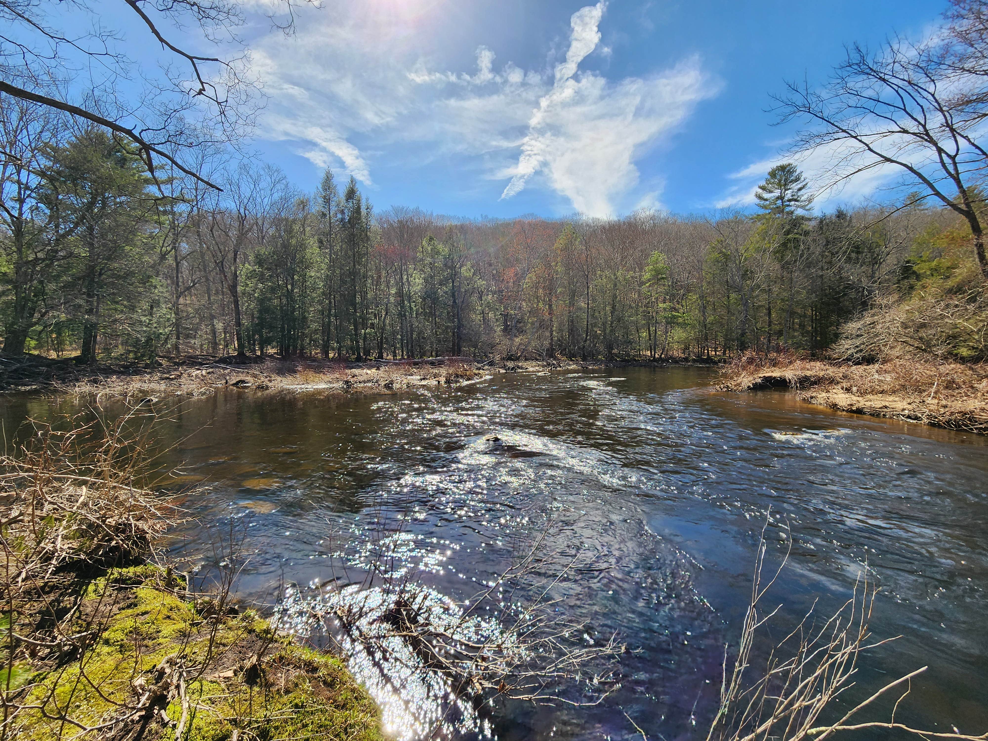 Camping near Wolf Den: Nickerson Park Family Campground, Chaplin, Connecticut