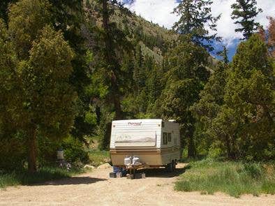 Camper submitted image from Little Bear Group - 5