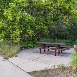 Public Campgrounds: Little Cottonwood Campground