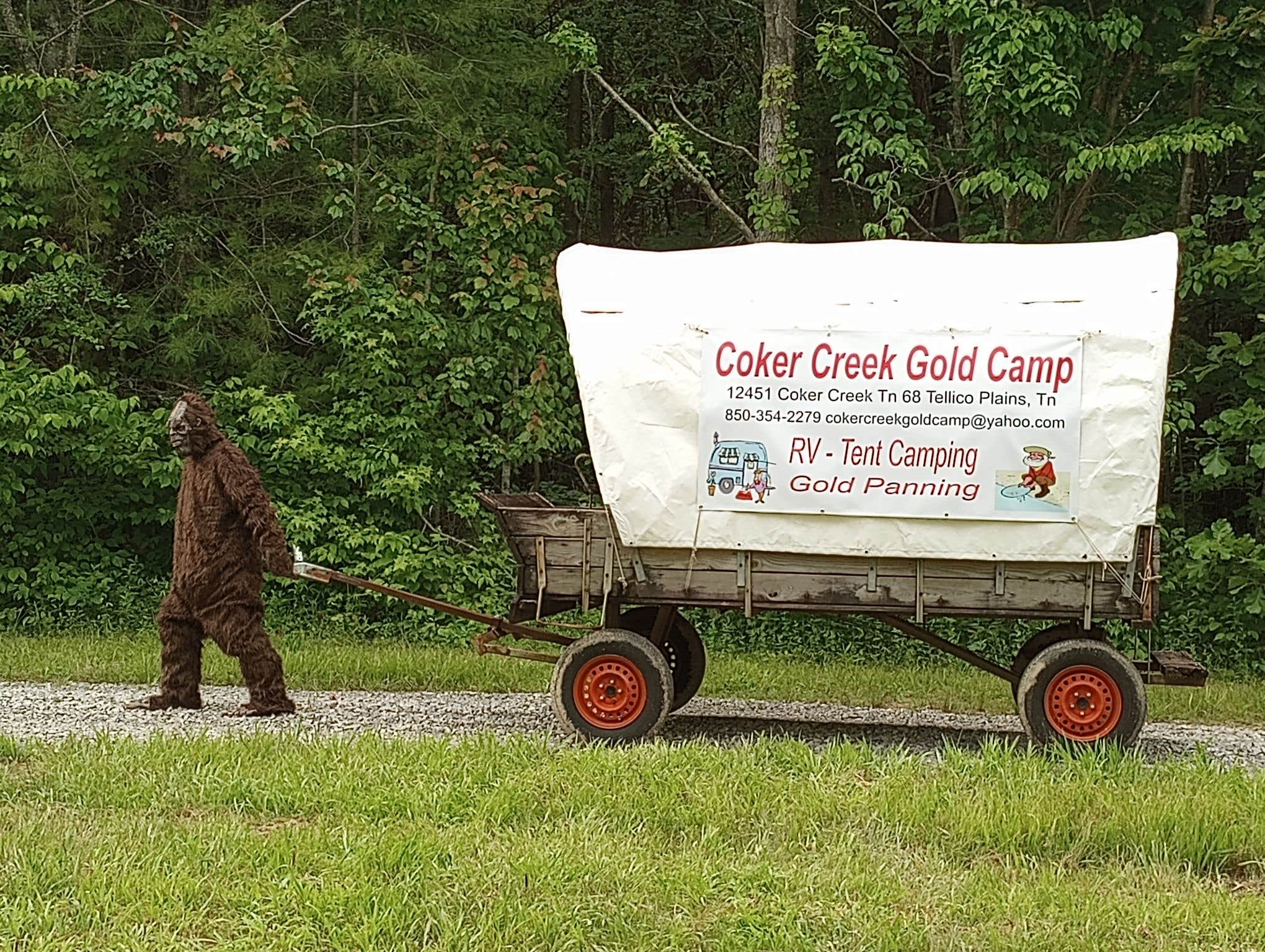 Camping near Olde English Farm: Coker Creek Gold Camp, Coker Creek, Tennessee