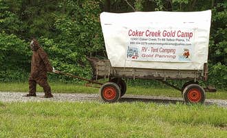Camping near Olde English Farm: Coker Creek Gold Camp, Coker Creek, Tennessee