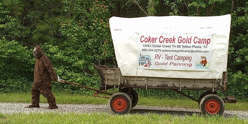 Camper submitted image from Coker Creek Gold Camp
