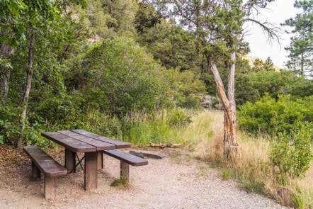 Little Cottonwood Campground



Credit: