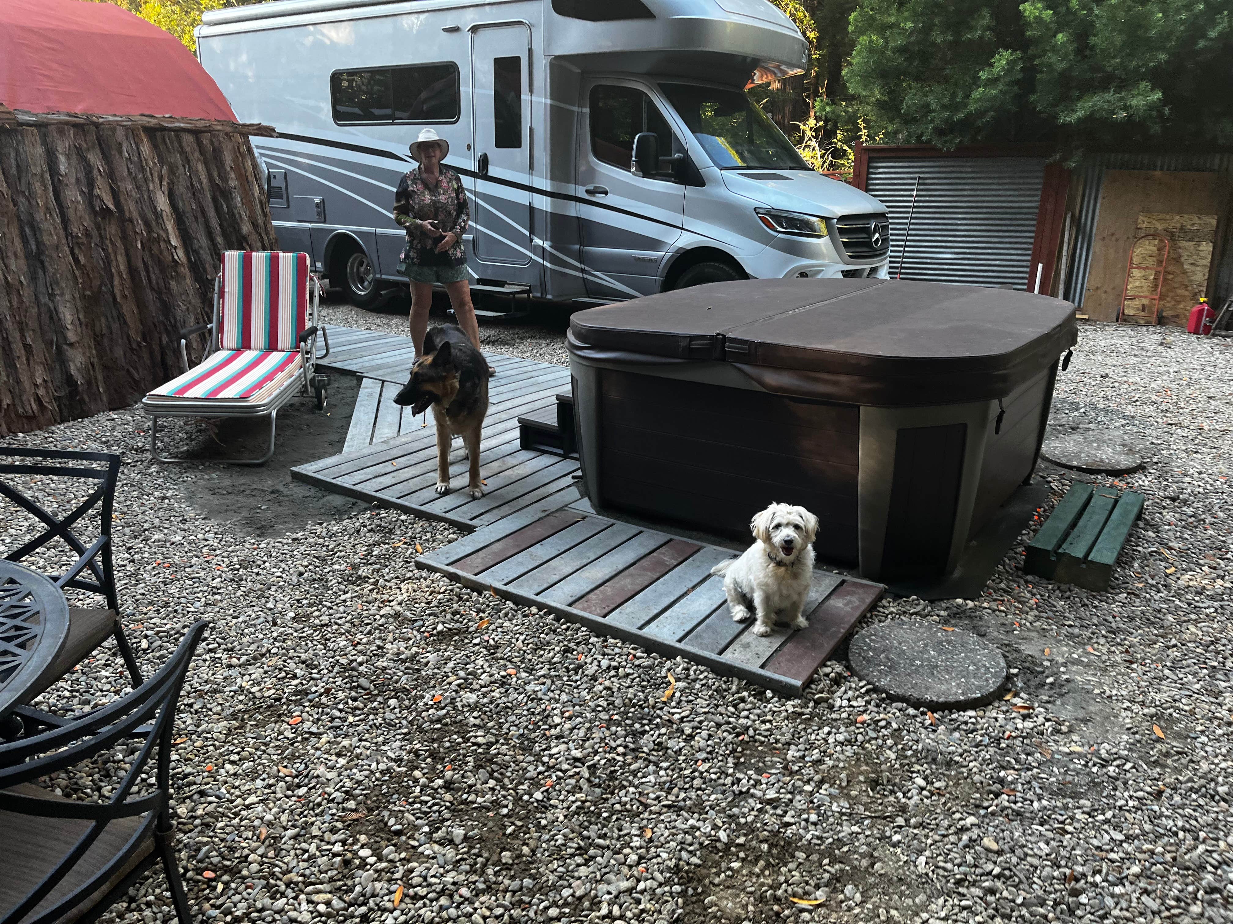 Robert C.'s photo of camping with pets at Glamping in the Redwoods 🐶🐕💃🕺🏼 near Fulton, CA