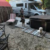 Review photo of Glamping in the Redwoods 🐶🐕💃🕺🏼 by Robert C., May 31, 2024