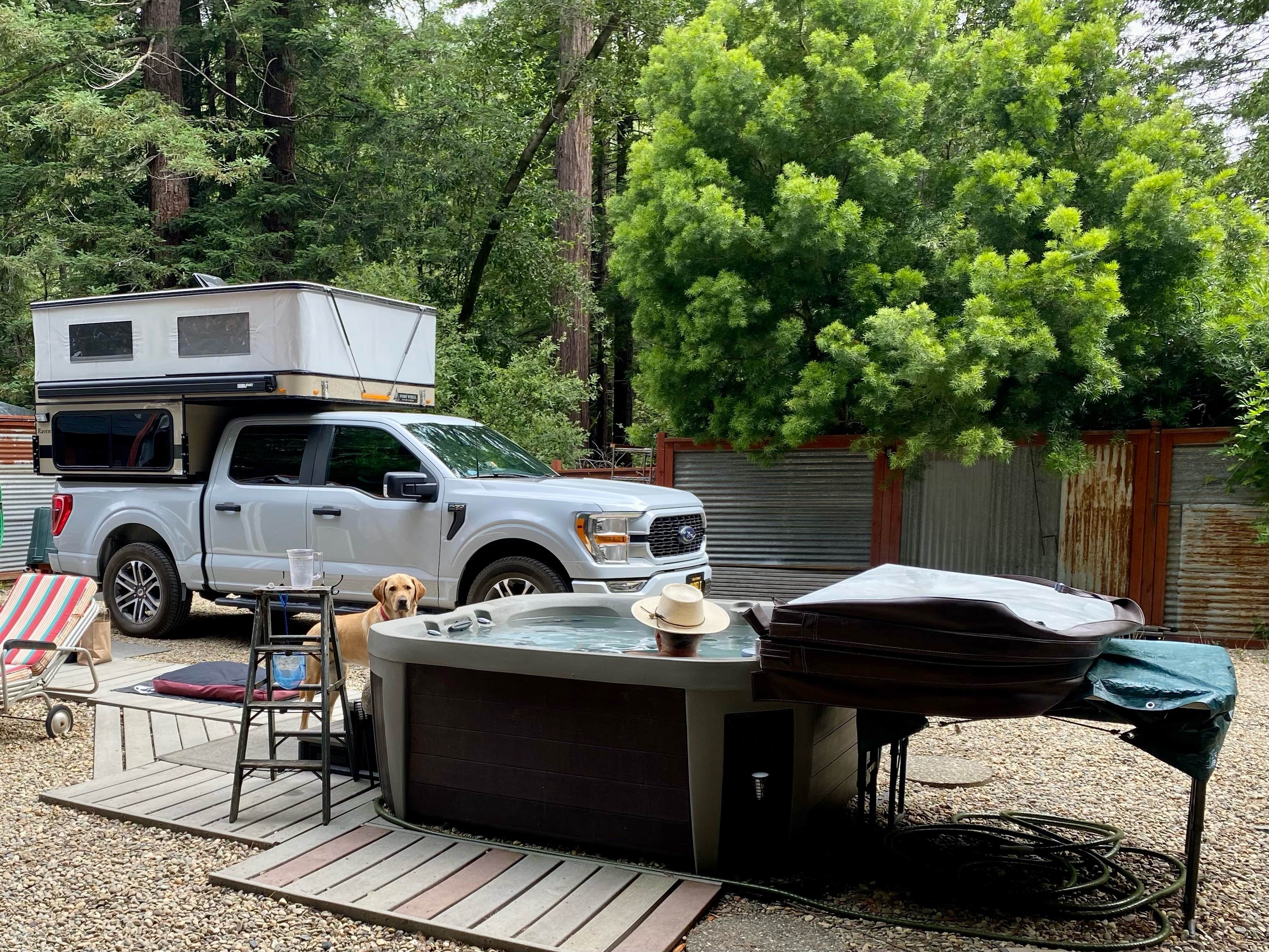 Robert C.'s photo of camping with pets at Glamping in the Redwoods 🐶🐕💃🕺🏼 near Bodega Bay, CA