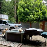 Review photo of Glamping in the Redwoods 🐶🐕💃🕺🏼 by Robert C., May 31, 2024