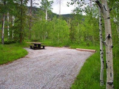 Camper submitted image from Lodgepole Campground - 1