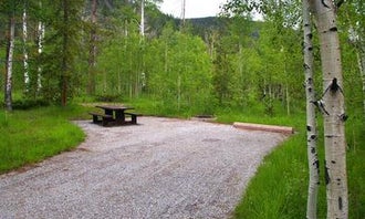 Camping near Currant Creek: Lodgepole Campground, Wallsburg, Utah