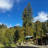 Review photo of Glamping in the Redwoods 🐶🐕💃🕺🏼 by Robert C., May 31, 2024