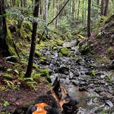 Review photo of Glamping in the Redwoods 🐶🐕💃🕺🏼 by Robert C., May 31, 2024