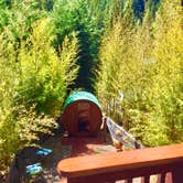 Review photo of Glamping in the Redwoods 🐶🐕💃🕺🏼 by Robert C., May 31, 2024