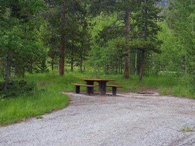 Camper-submitted photo at Lodgepole Campground near Wallsburg, UT