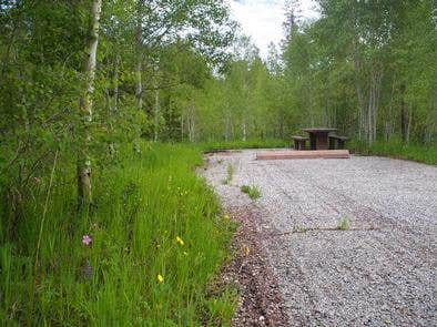 Camper-submitted photo at Lodgepole Campground near Wallsburg, UT