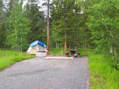 Camper-submitted photo at Lodgepole Campground near Wallsburg, UT