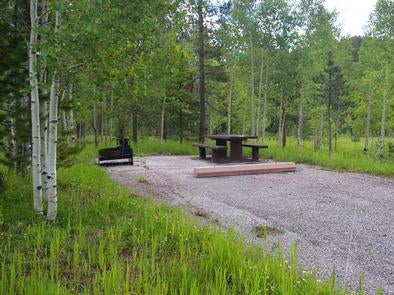 Camper submitted image from Lodgepole Campground - 3