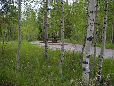 Camper-submitted photo at Lodgepole Campground near Wallsburg, UT
