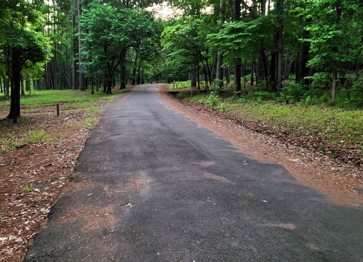 Camper submitted image from Spring Lake Recreation Area - 3