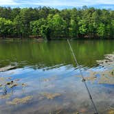 Review photo of Spring Lake Recreation Area by Fred S., May 31, 2024