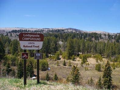 Camper submitted image from Lodgepole Campground - 2