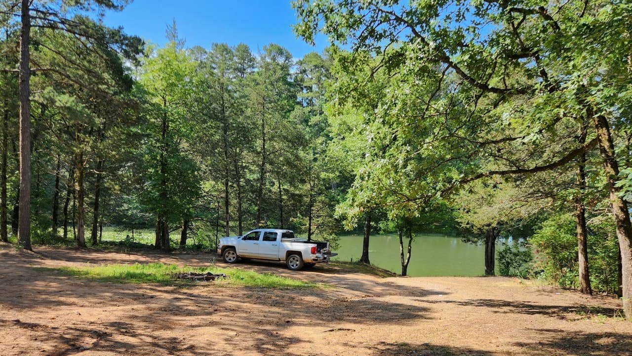 Camper submitted image from Spring Lake FR96001F Dispersed, Ozark NF AR - 1