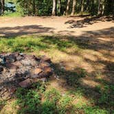 Review photo of Spring Lake FR96001F Dispersed, Ozark NF AR by Fred S., May 31, 2024