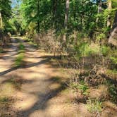 Review photo of Spring Lake FR96001F Dispersed, Ozark NF AR by Fred S., May 31, 2024