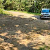 Review photo of West Side Spring Lake Dispersed, Ozark NF, AR by Fred S., May 31, 2024