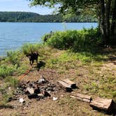 Review photo of West Side Spring Lake Dispersed, Ozark NF, AR by Fred S., May 31, 2024