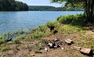 Fred S.'s photo of a dispersed camping area at West Side Spring Lake Dispersed, Ozark NF, AR near Russellville, AR