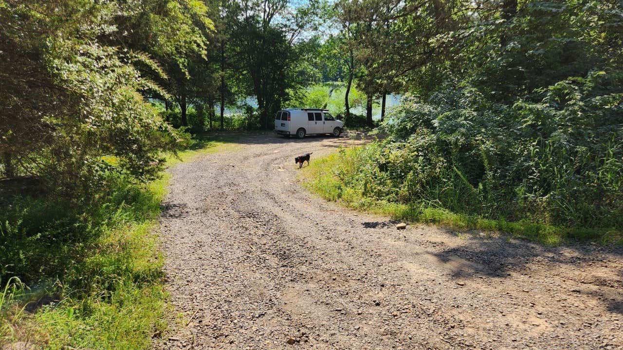 Camper submitted image from West Side Spring Lake Dispersed, Ozark NF, AR - 5