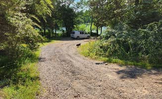 Fred S.'s photo of camping with pets at West Side Spring Lake Dispersed, Ozark NF, AR near Hagarville, AR