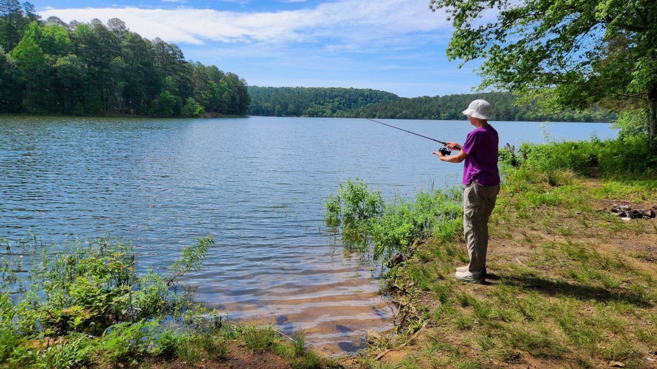 Camper submitted image from West Side Spring Lake Dispersed, Ozark NF, AR - 4