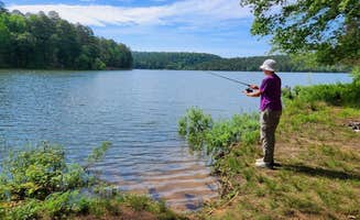 Fred S.'s photo of a dispersed camping area at West Side Spring Lake Dispersed, Ozark NF, AR near Pettigrew, AR