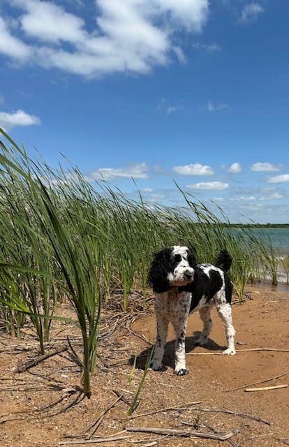 Camper-submitted photo at Cedar Grove Campground — Lake Murray State Park near Marietta, OK