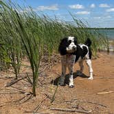 Review photo of Cedar Grove Campground — Lake Murray State Park by Donna H., May 31, 2024