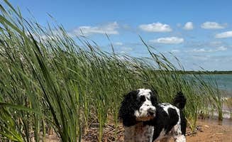 Donna H.'s photo of camping with pets at Cedar Grove Campground — Lake Murray State Park near Chickasaw National Recreation Area