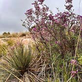 Review photo of Fortress Cliff Primitive — Palo Duro Canyon State Park by Donna H., May 31, 2024