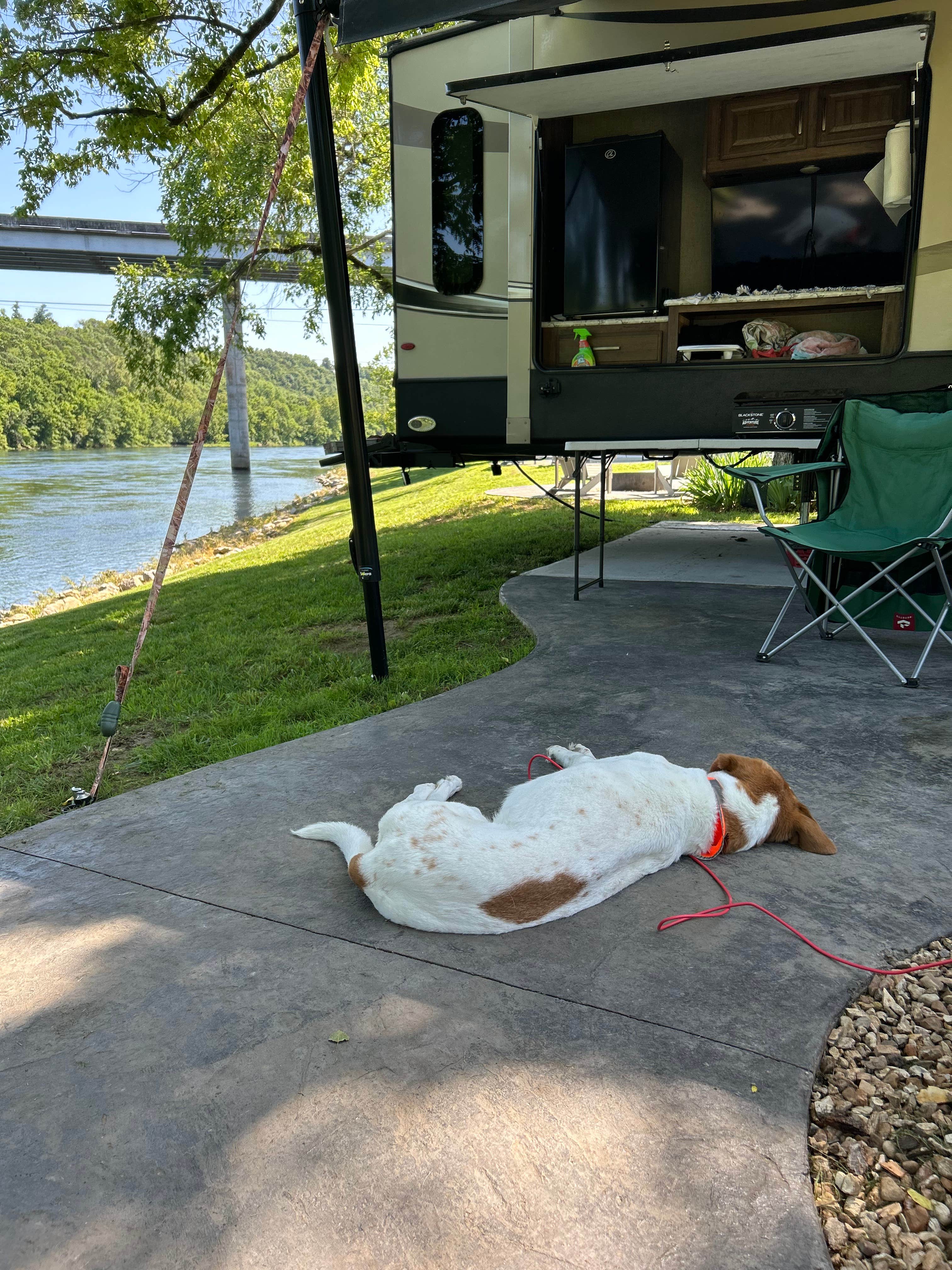 Camper-submitted photo at Blue Heron Campground near Norfork, AR