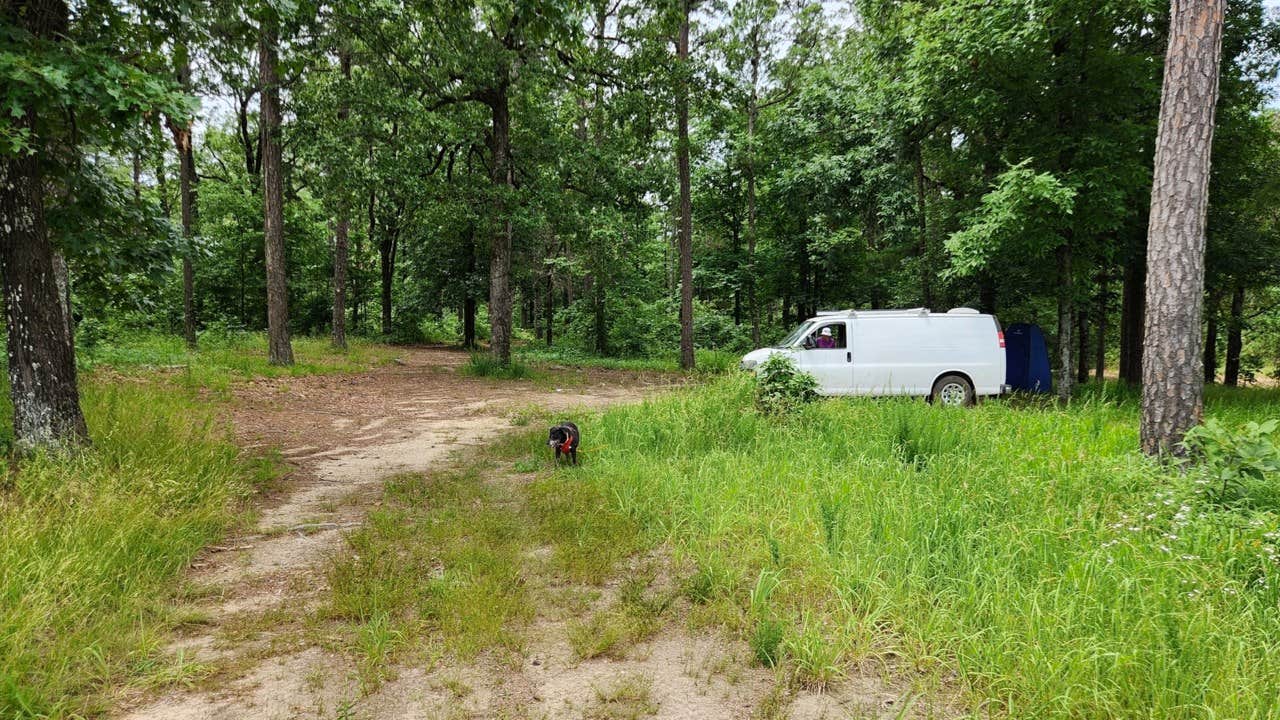 Camper-submitted photo at Buzzards Rock Dispersed, Ozark NF, AR near Paris, AR