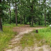 Review photo of Buzzards Rock Dispersed, Ozark NF, AR by Fred S., June 1, 2024